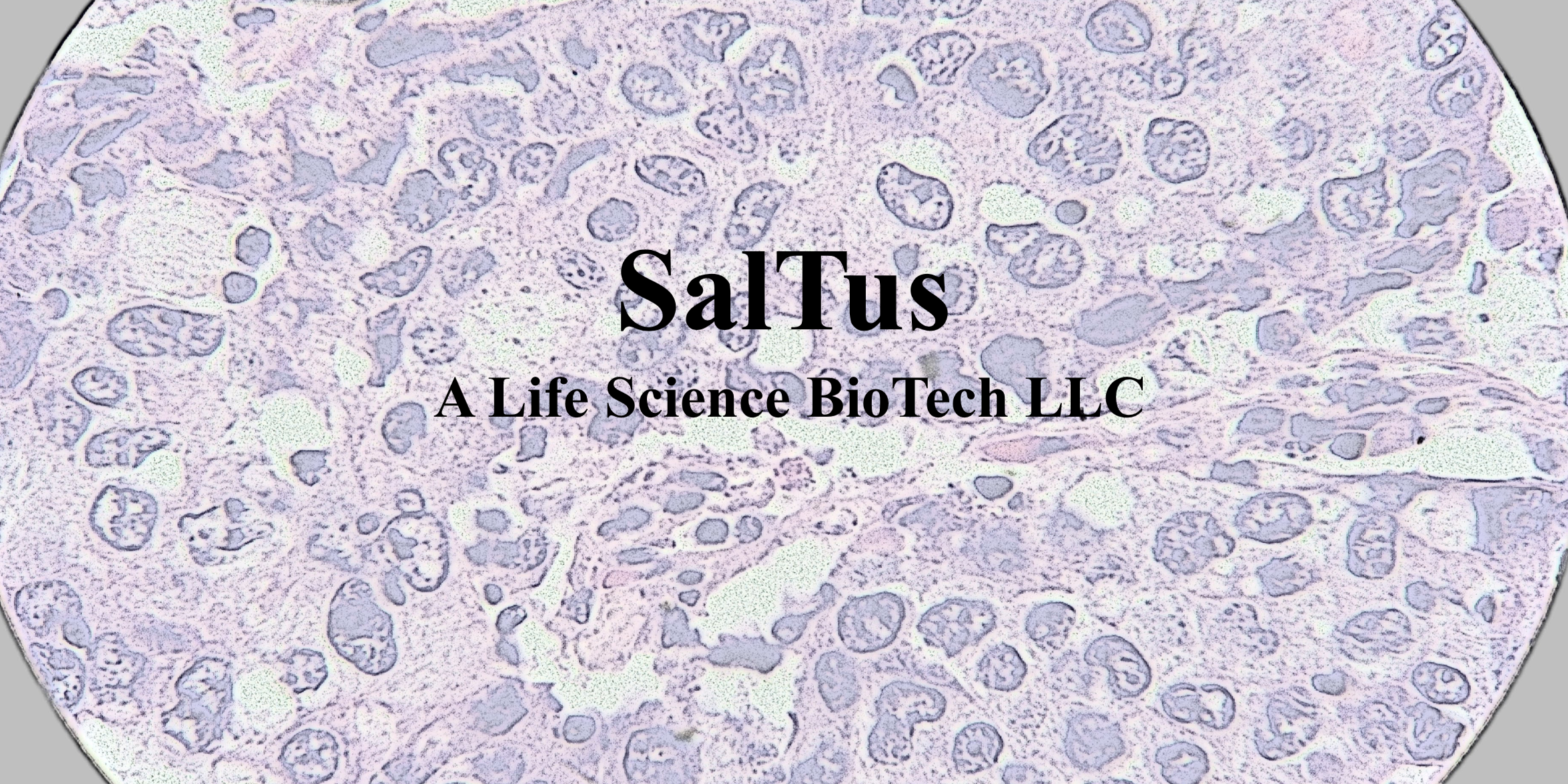 Saltus-1